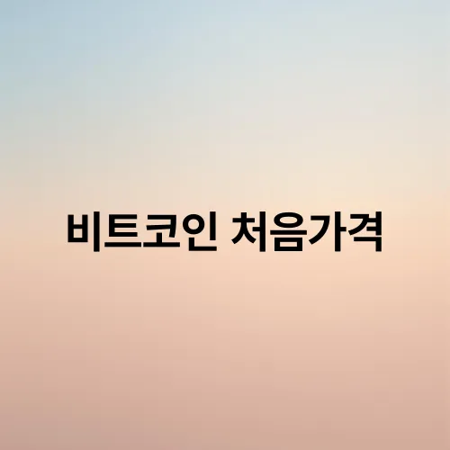 비트코인 처음가격
