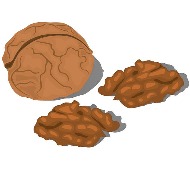 기관지에 좋은 음식 호두기름