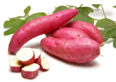 가을 제철음식 고구마 효능과 영양성분