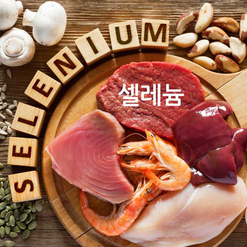 항산화영양제