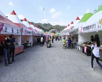 평창 백일홍 축제_31