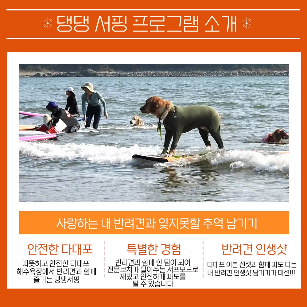 제28회 부산바다축제 나이트풀파티 프로그램