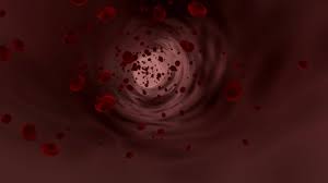 백혈구 정상수치