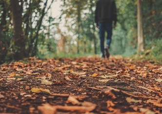 서울 단풍 절정시기