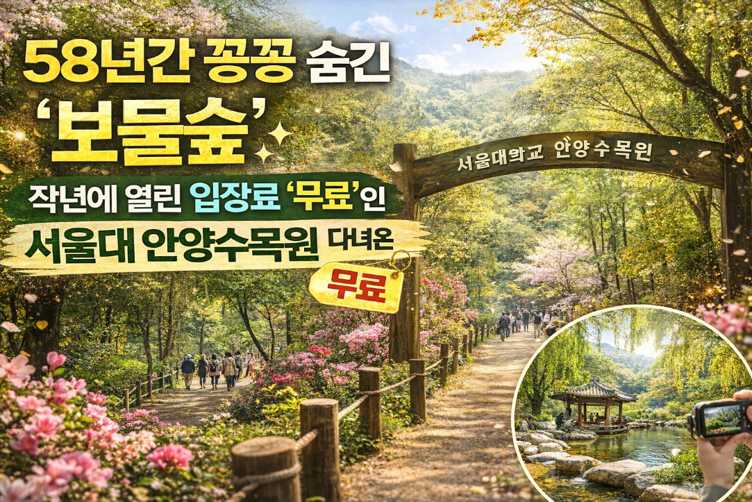 58년 꽁꽁 숨겨온 비밀숲 서울대 안양수목원 무료 입장 완벽 후기