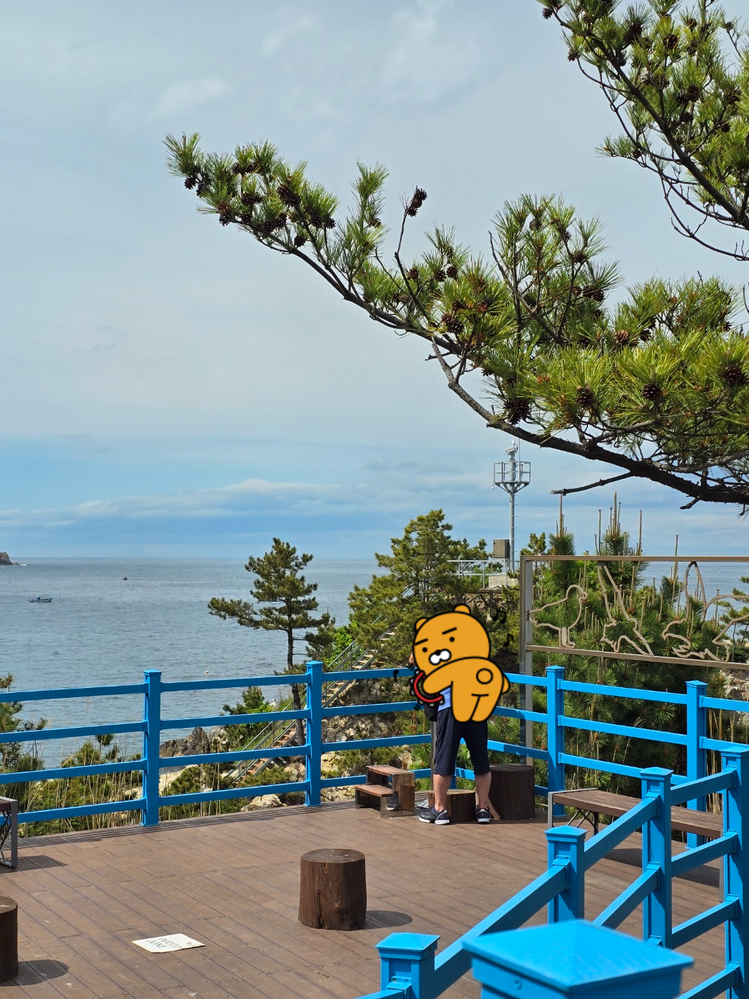 갈매기를 관찰할수 있는 망원경이 있어요