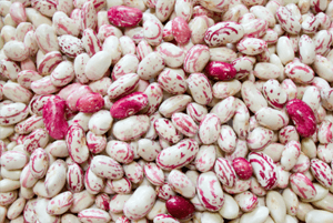 호랑이콩 효능04