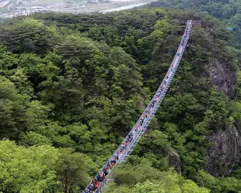 소금산 출렁다리_14