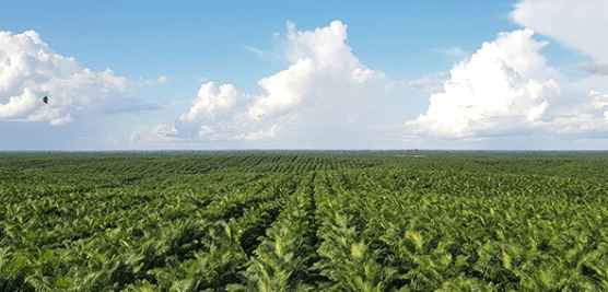 포스코홀딩스 친환경