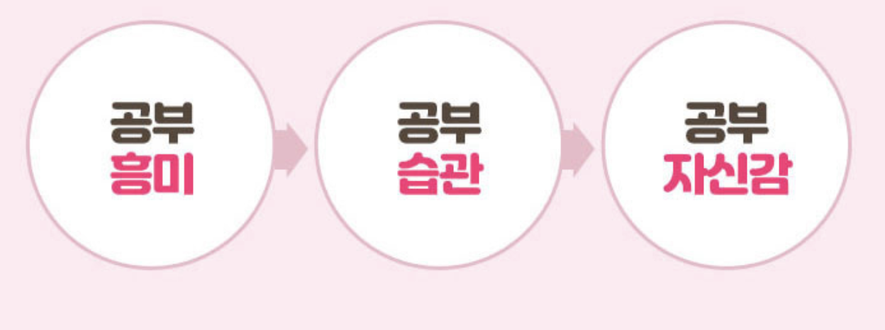 초등인강 엘리하이 가격