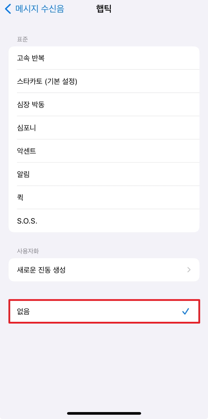 아이폰 햅틱 설정