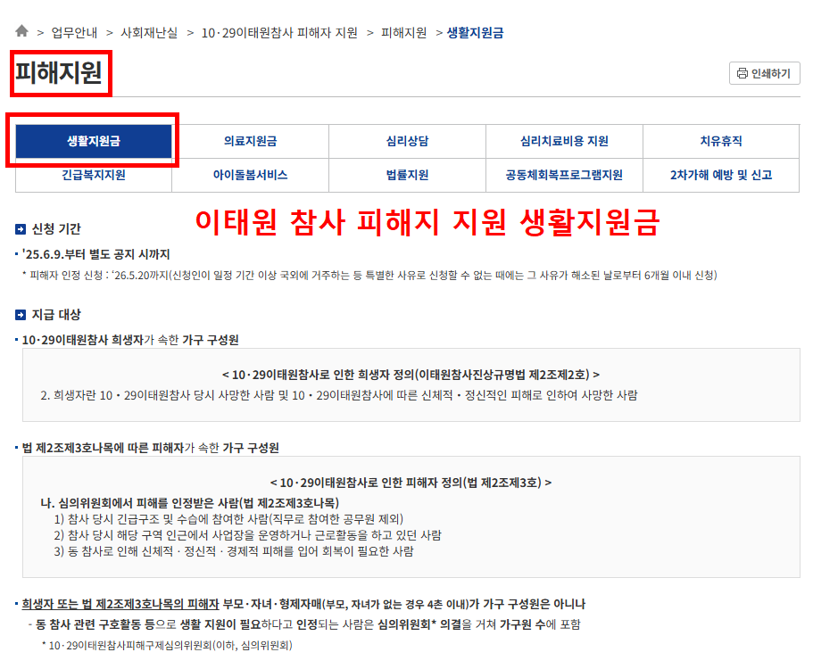 이태원참사 피해 지원