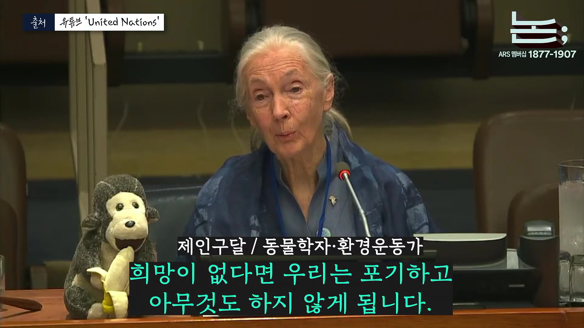[정준희의 논] '제국의 위안부' 박유하와 '침팬지의 어머니' 제인 구달ㅣ2025년 10월 2일 목요일.mp4_20251006_195620.354.jpg