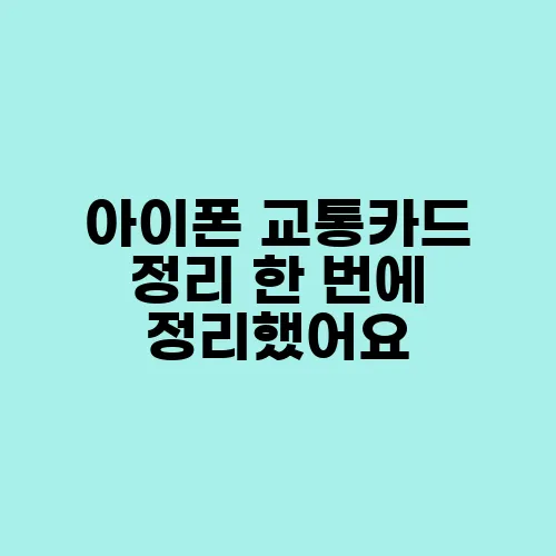 아이폰 교통카드 정리 한 번에 정리했어요