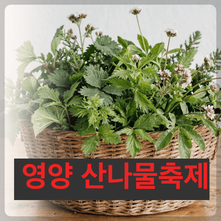 영양 산나물 축제