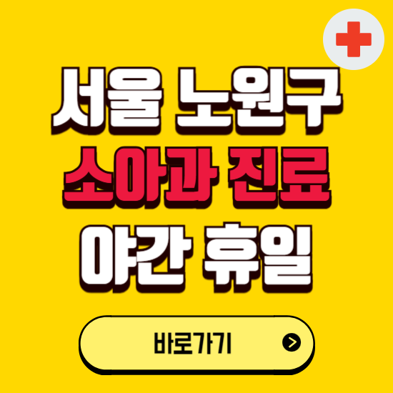 서울 노원구 야간 소아과 진료병원 찾기 ❘ 24시 일요일 주말 연휴 응급진료 추천 잘하는 곳