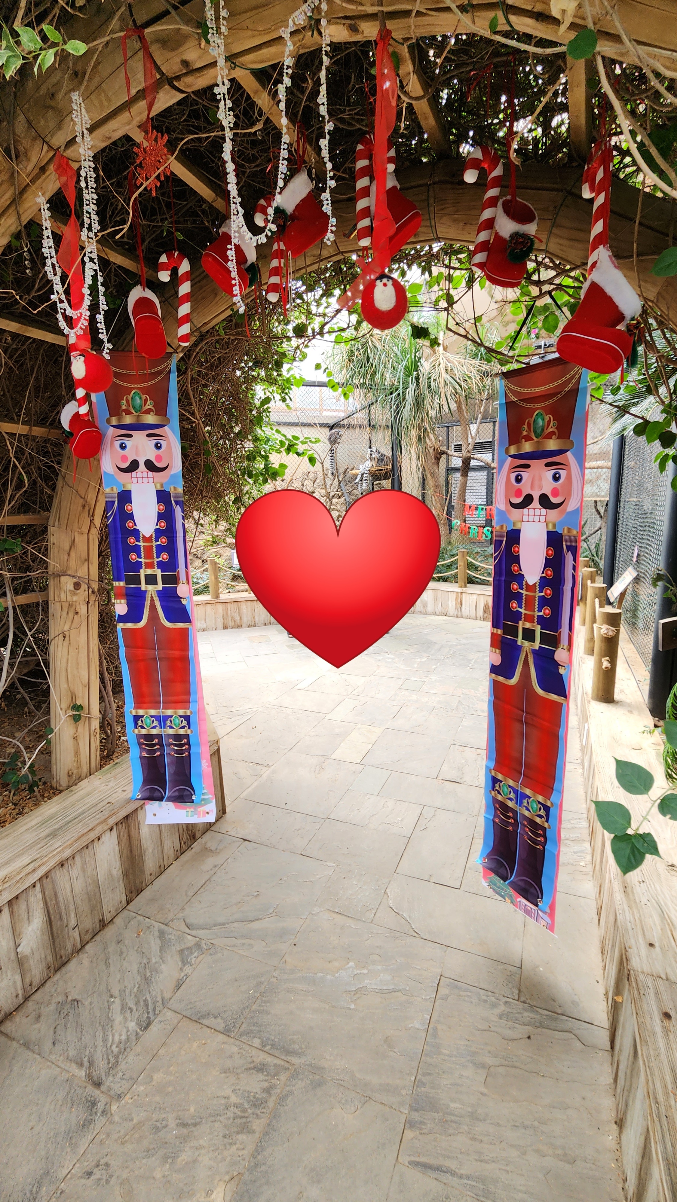 대구-네이처파크