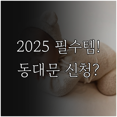 서울 동대문구 2025 모든 출생아 ..