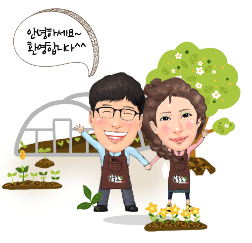 [6시 내고향] 홍천중앙시장&amp;#44; 홍천 산나물축제&amp;#44; 산나물 택배주문&amp;#44; 약과가게&amp;#44; 전가게 정보