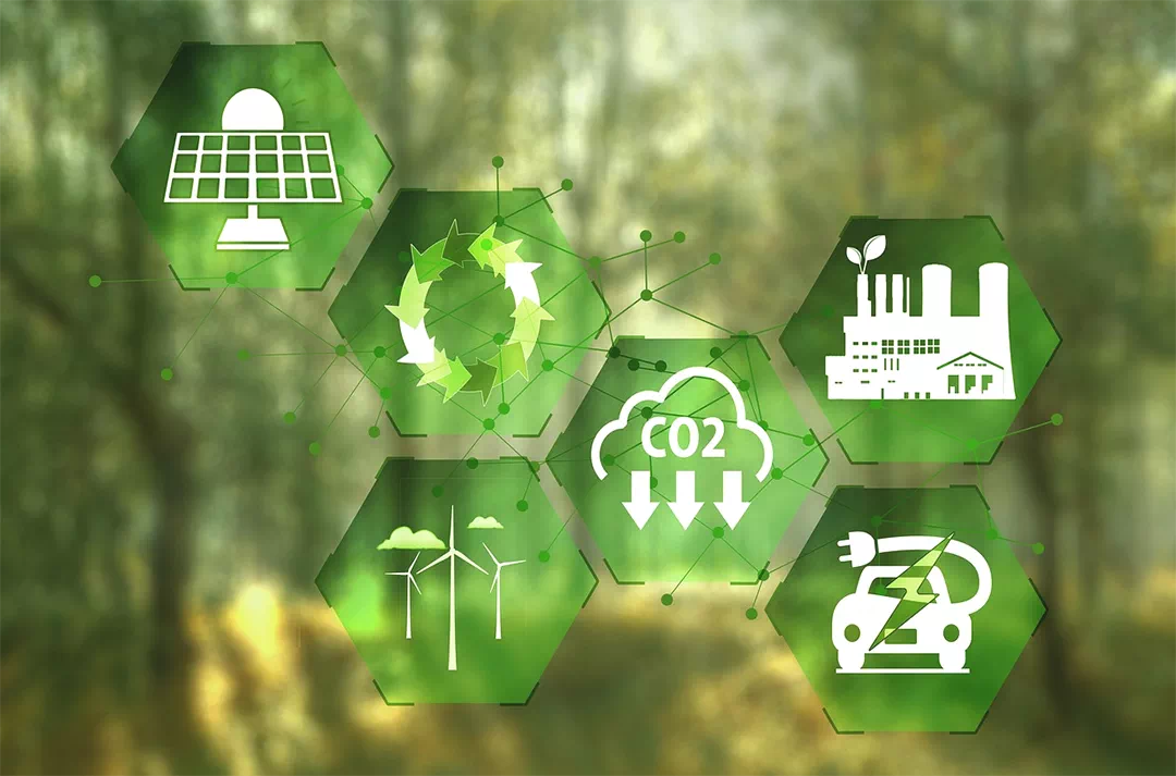 바이오매스 에너지 원리 완벽정리 친환경 미래의 핵심 기술