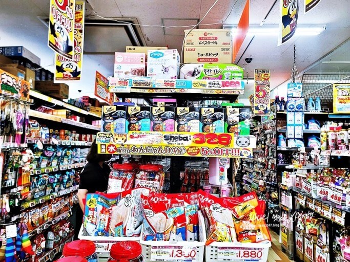돈키호테 쿠폰