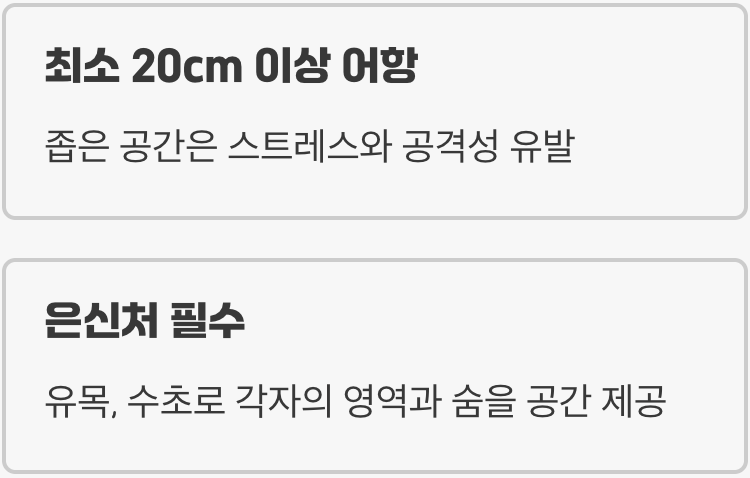 어항 - 작지만 &amp;#39;영역&amp;#39;이 필요한 집