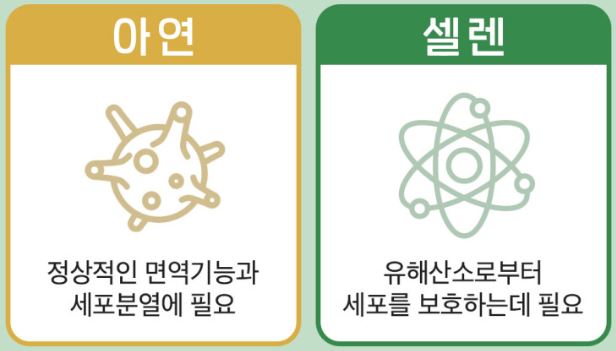 닥터린 그린 프로폴리스