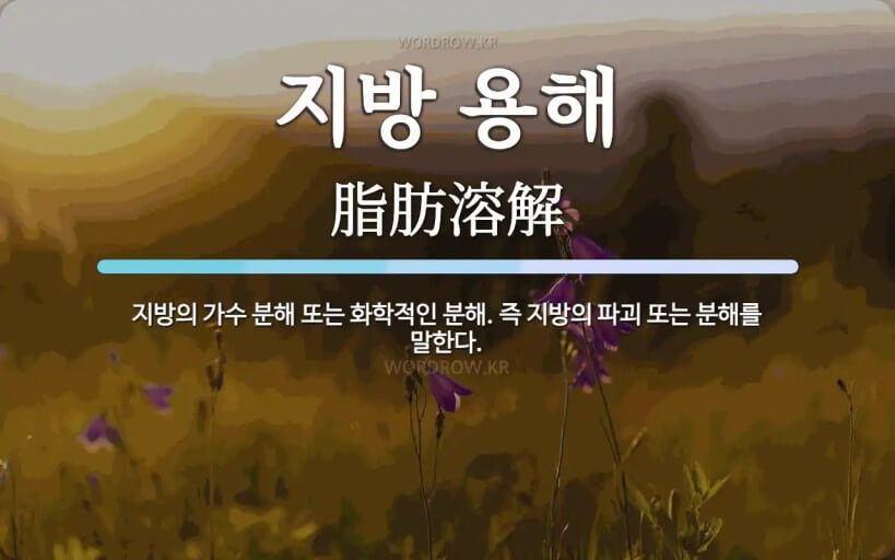 지방제거 시술