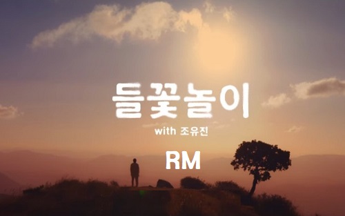 방탄소년단 BTS RM 들꽃놀이 체리필터 조유진 가사 해석 곡정보 인디고 앨범