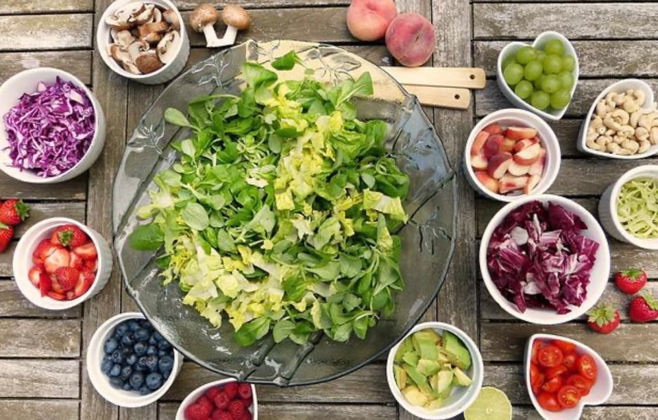 비타민의 종류와 기능