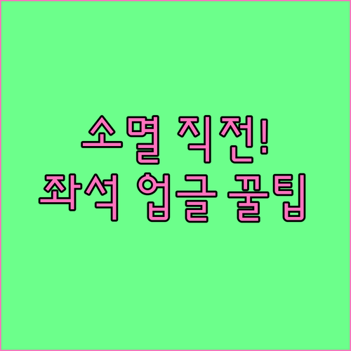 소멸 직전 마일리지 고효율 사용법: ..