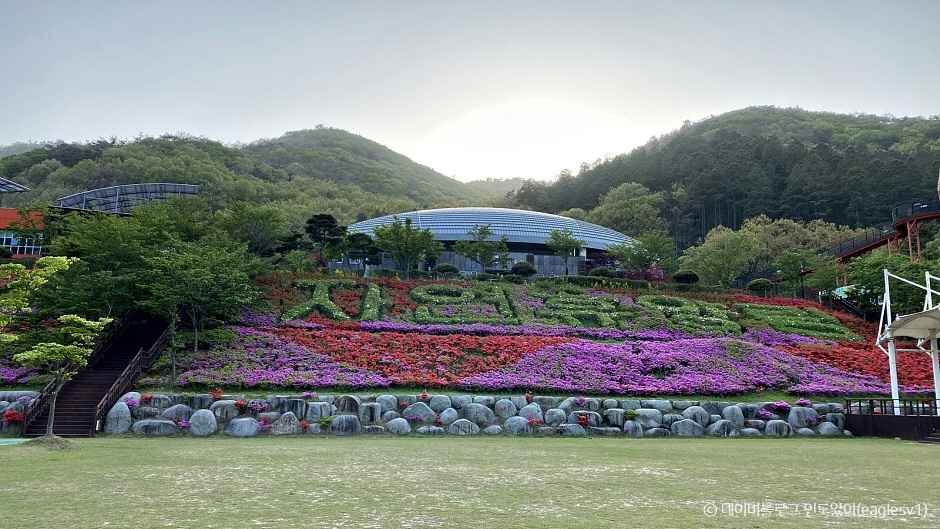 보성 가볼만한곳 베스트10
