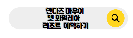 하와이 신혼여행