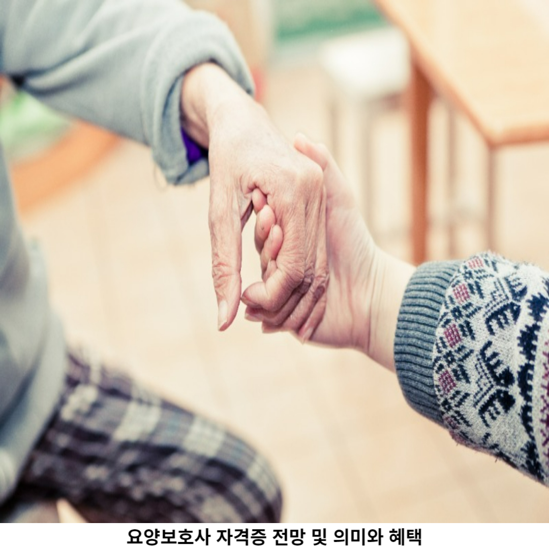 요양보호사의 역할 확대와 미래 전망