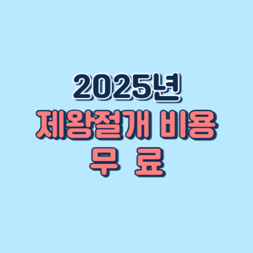 제왕절개 비용 무료 정책 개정안 총정리 !!!