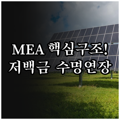 MEA 3대 핵심 구조와 저백금 기술..