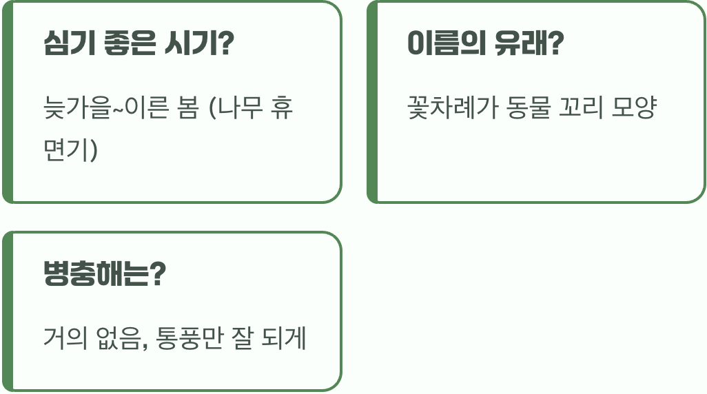 꼬리조팝나무 묘목 심는 시기와 방법, 이것만 알면 실패 제로!