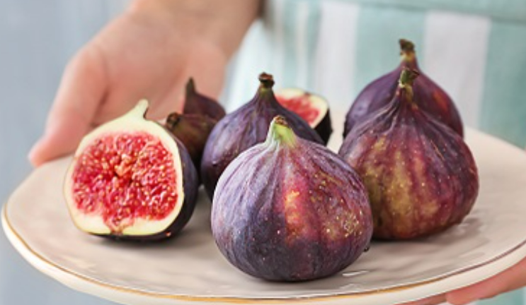 무화과의 효능