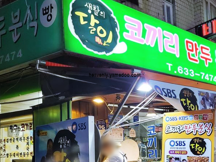 속초 맛집