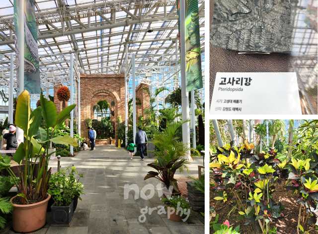 국립세종수목원