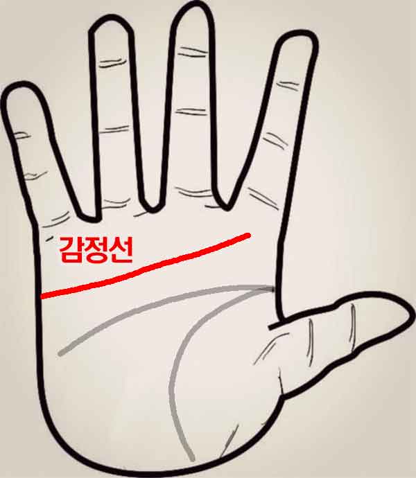 감정선 위치