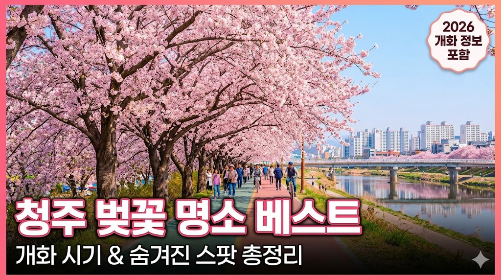 청주 벚꽃 명소