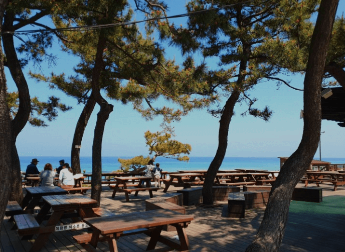 강릉 2박3일 여행코스