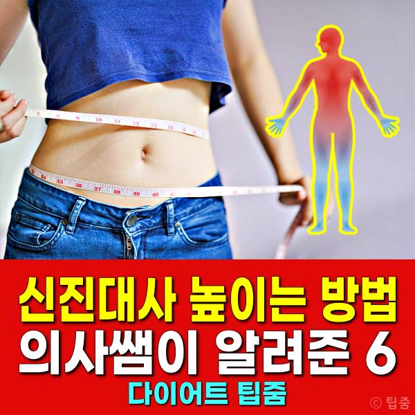 신진대사 높이는 방법 기초대사량