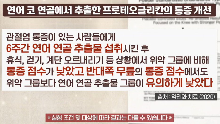 프로테오글리칸 효능