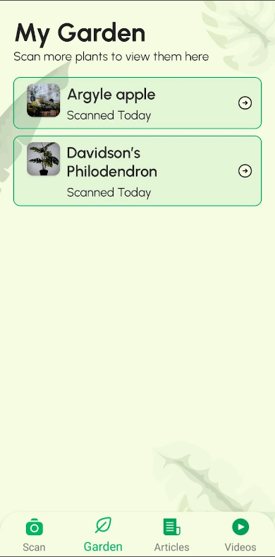 식물 식별 이름찾기 어플, 식물과 꽃 식별 하기