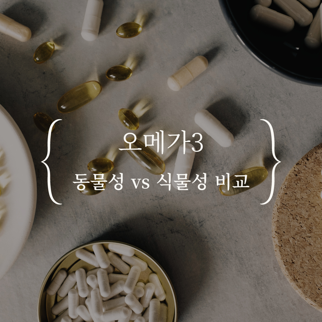 식물성 오메가-3, 건강을 위한 새로운 선택? 심층 분석