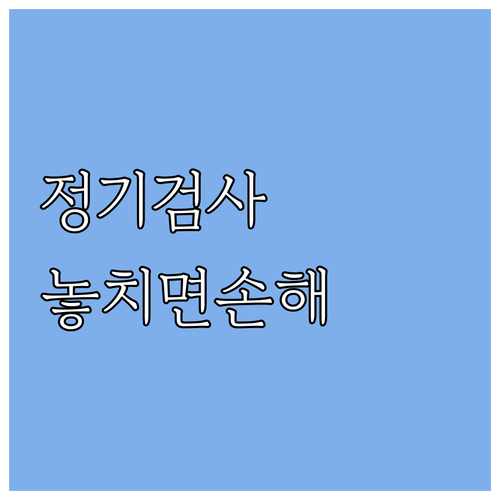 자동차 정기검사, 기간 놓치면 손해..