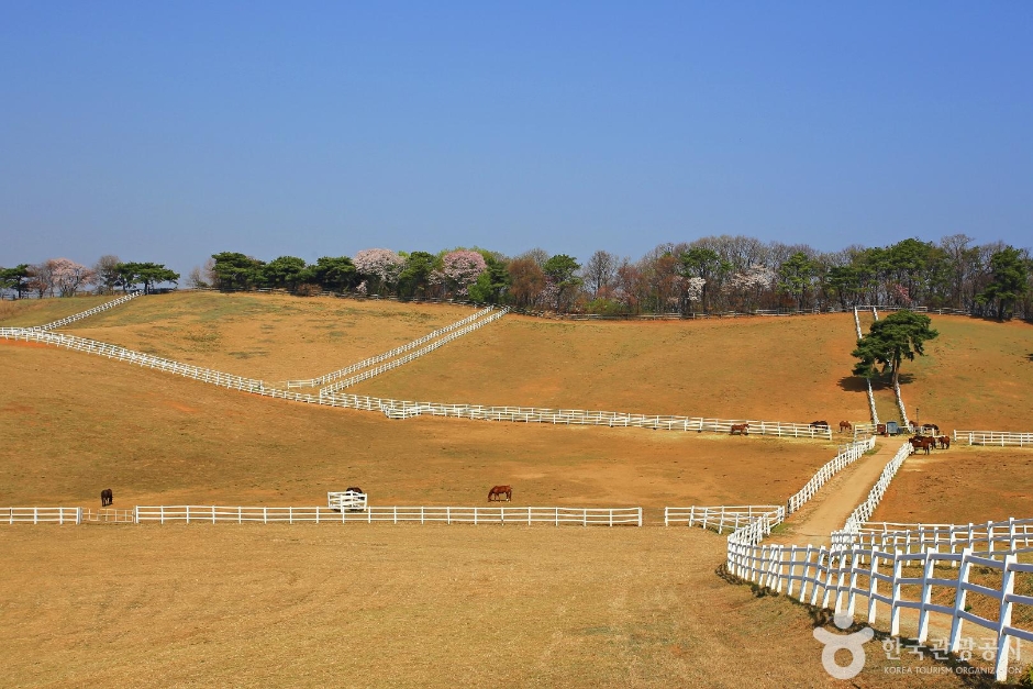 고양 가볼만한곳 베스트10