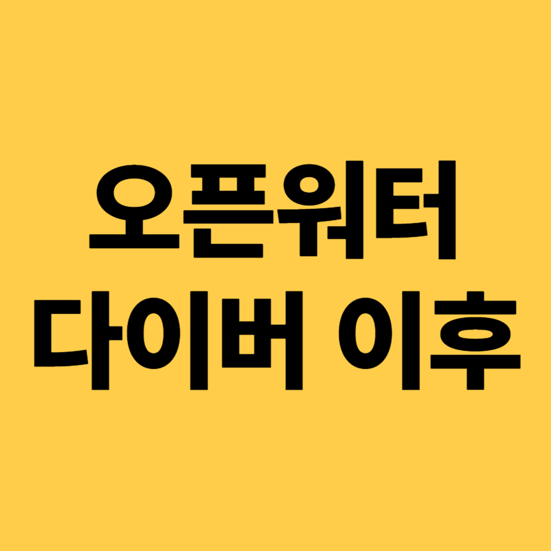 오픈워터 다이버 이후